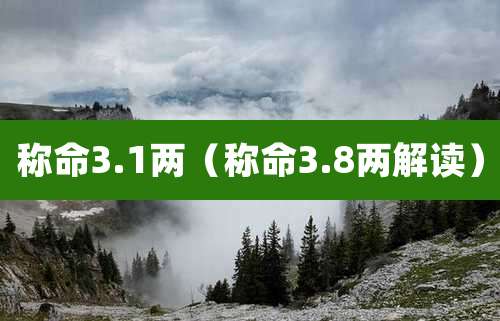 称命3.1两（称命3.8两解读）