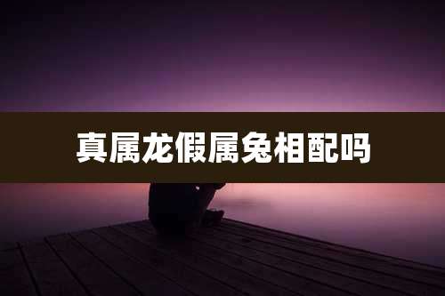 真属龙假属兔相配吗