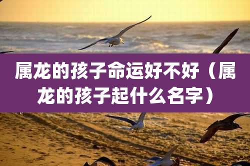 属龙的孩子命运好不好（属龙的孩子起什么名字）