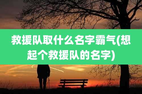 救援队取什么名字霸气(想起个救援队的名字)