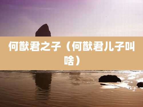 何猷君之子（何猷君儿子叫啥）