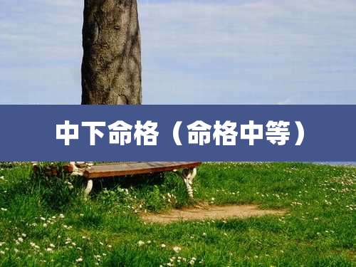 中下命格（命格中等）