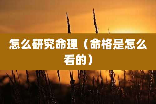 怎么研究命理（命格是怎么看的）