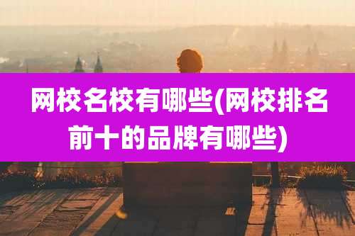 网校名校有哪些(网校排名前十的品牌有哪些)