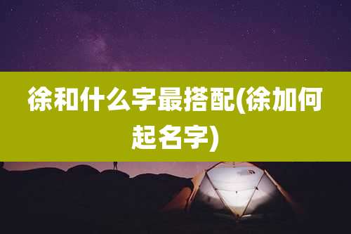 徐和什么字最搭配(徐加何起名字)