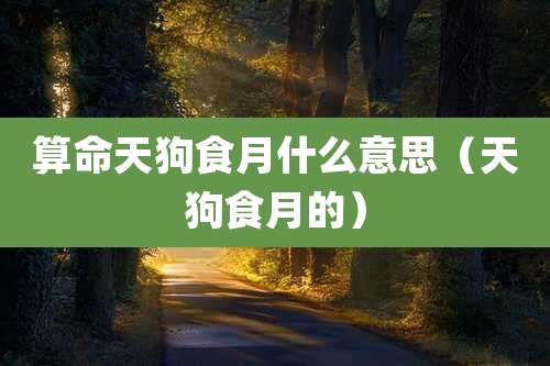 算命天狗食月什么意思（天狗食月的）