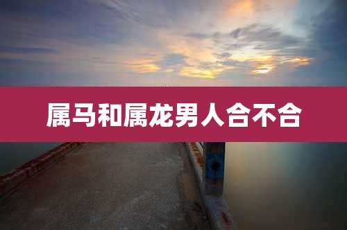 属马和属龙男人合不合