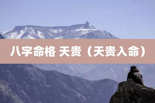 八字命格 天贵（天贵入命）