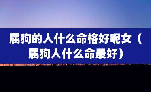 属狗的人什么命格好呢女（属狗人什么命最好）