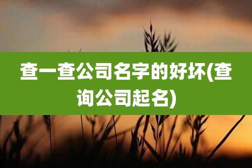 查一查公司名字的好坏(查询公司起名)