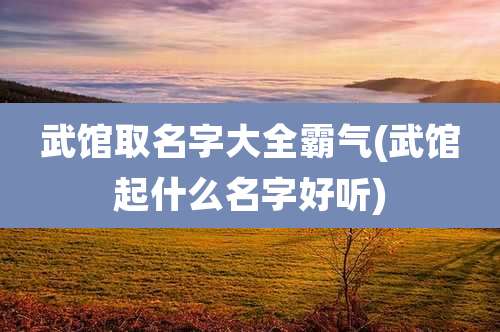 武馆取名字大全霸气(武馆起什么名字好听)