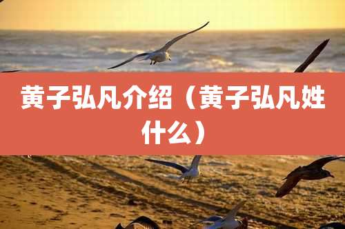 黄子弘凡介绍（黄子弘凡姓什么）