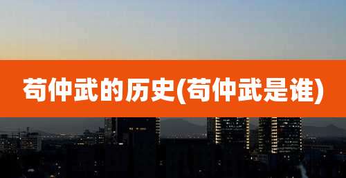 苟仲武的历史(苟仲武是谁)