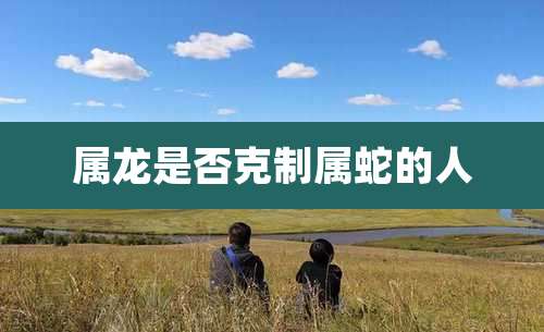 属龙是否克制属蛇的人