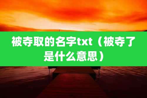 被夺取的名字txt（被夺了是什么意思）