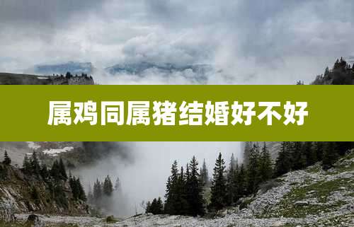 属鸡同属猪结婚好不好