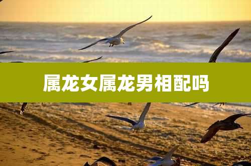 属龙女属龙男相配吗