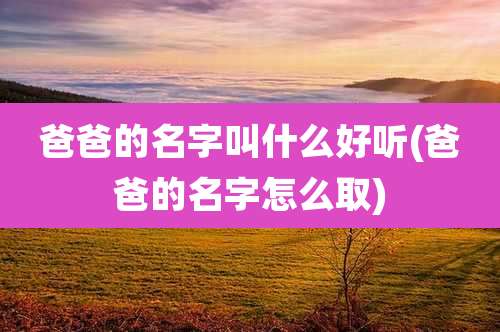 爸爸的名字叫什么好听(爸爸的名字怎么取)
