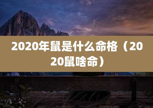 2020年鼠是什么命格（2020鼠啥命）
