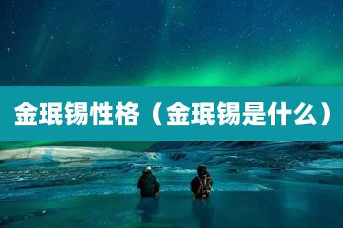 金珉锡性格（金珉锡是什么）