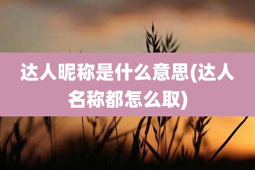 达人昵称是什么意思(达人名称都怎么取)