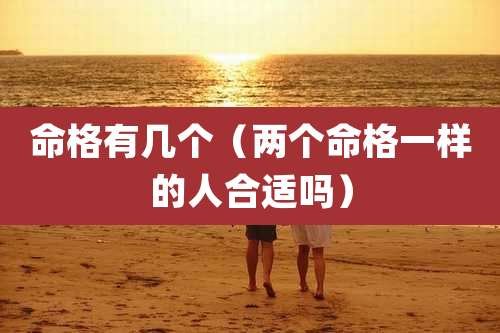 命格有几个(两个命格一样的人合适吗)