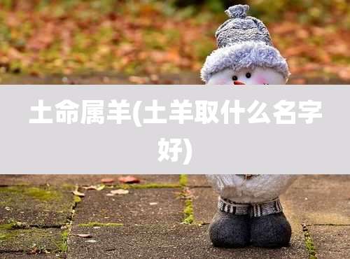 土命属羊(土羊取什么名字好)