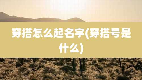 穿搭怎么起名字(穿搭号是什么)