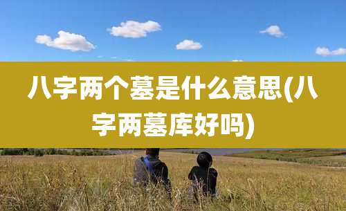 八字两个墓是什么意思(八字两墓库好吗)