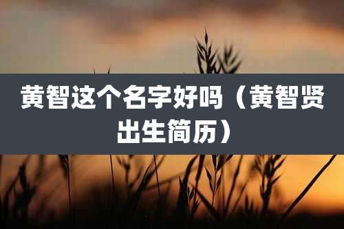 黄智这个名字好吗（黄智贤出生简历）