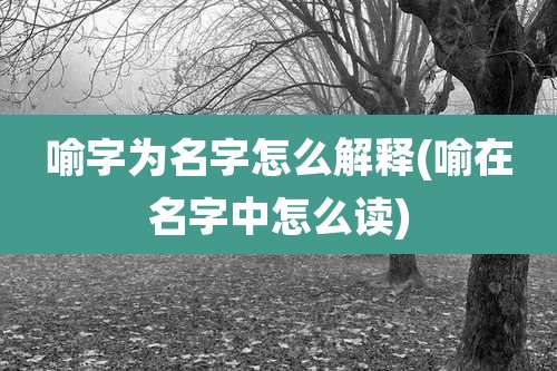 喻字为名字怎么解释(喻在名字中怎么读)