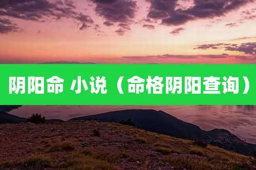 阴阳命 小说（命格阴阳查询）