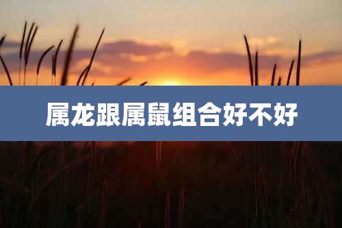 属龙跟属鼠组合好不好