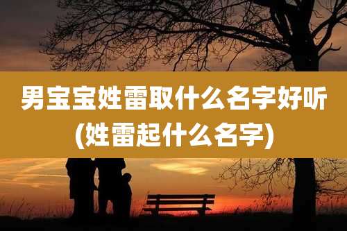 男宝宝姓雷取什么名字好听(姓雷起什么名字)