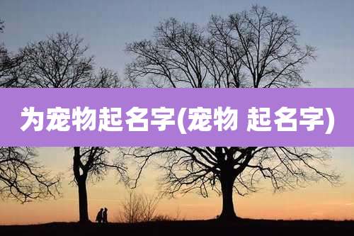 为宠物起名字(宠物 起名字)