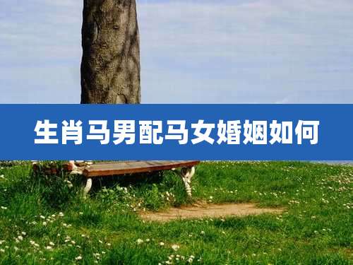 生肖马男配马女婚姻如何