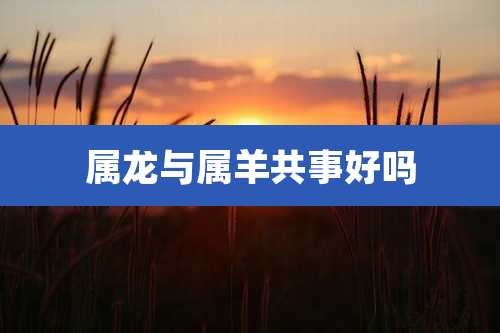 属龙与属羊共事好吗