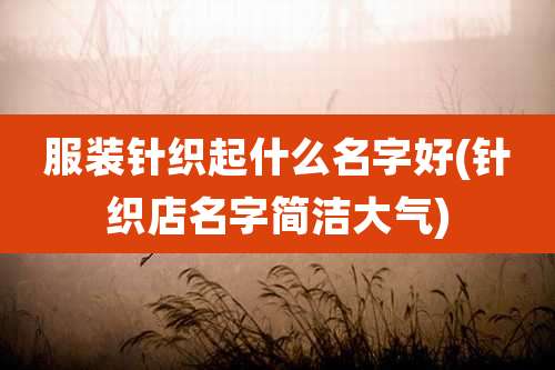 服装针织起什么名字好(针织店名字简洁大气)