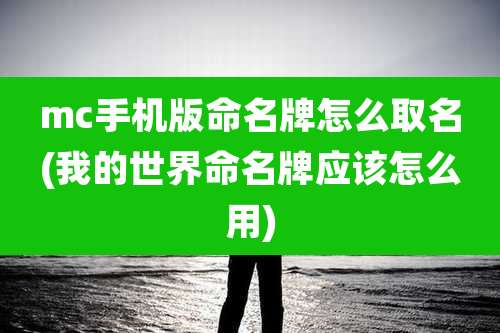 mc手机版命名牌怎么取名(我的世界命名牌应该怎么用)