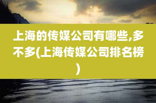 上海的传媒公司有哪些,多不多(上海传媒公司排名榜)