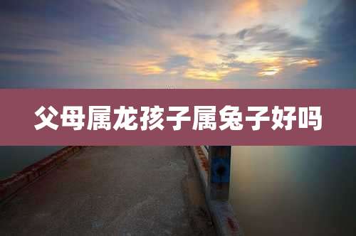 父母属龙孩子属兔子好吗