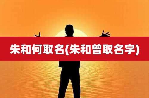 朱和何取名(朱和曾取名字)