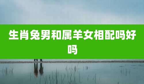 生肖兔男和属羊女相配吗好吗