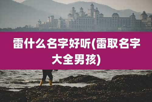 雷什么名字好听(雷取名字大全男孩)