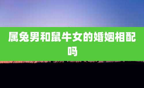 属兔男和鼠牛女的婚姻相配吗