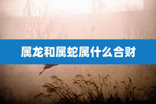 属龙和属蛇属什么合财