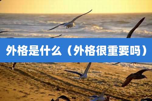 外格是什么（外格很重要吗）