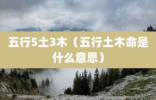 五行5土3木（五行土木命是什么意思）