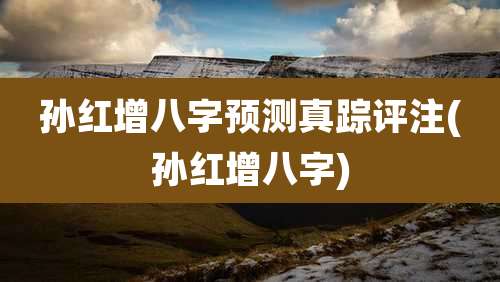 孙红增八字预测真踪评注(孙红增八字)