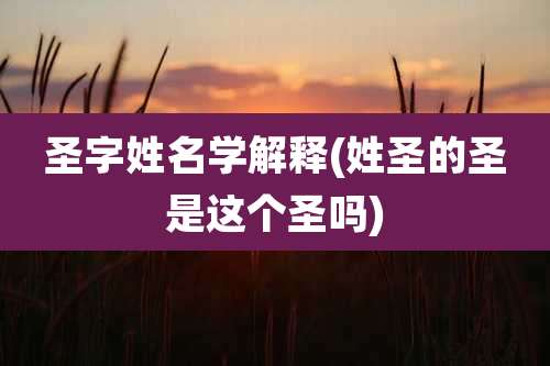 圣字姓名学解释(姓圣的圣是这个圣吗)